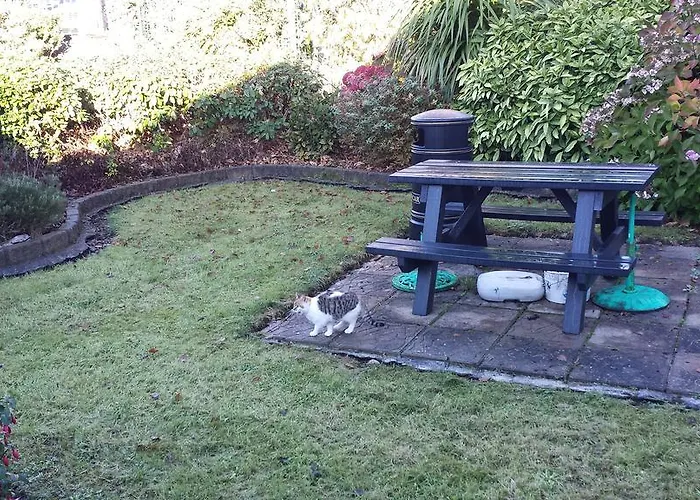 Anno Santo Голуэй